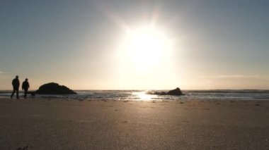 Köpekleri ile yürüyen tanınmayan erkek ve kadın çiftin kumsaldaki Oregon Sahili 'nde sakin ve güneşli bir günün tadını çıkarın..