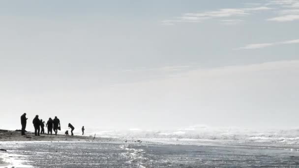 Persone Riuniscono Lungo Costa Dell Oceano Pacifico Godendo Una Giornata — Video Stock