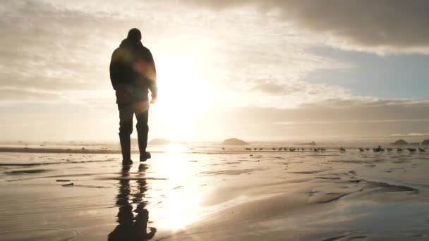 在俄勒冈海岸 模特被放走在沙滩上欣赏美丽的落日 平静的海浪冲刷声和鸟儿鸣叫着 — 图库视频影像
