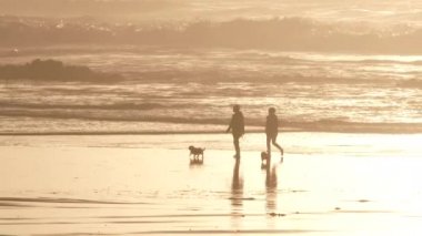 Küçük köpek sahipleri gün batımında Pasifik kıyısında yürürler..