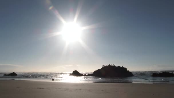 Sol Brillando Bajo Cielo Sobre Océano Pacífico Hermosa Playa Arena — Vídeo de stock