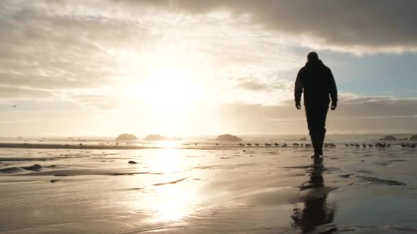 砂浜を歩き 水の端に到達し 美しい夕日を楽しむ人 — ストック動画