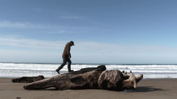 モデル解放された男は オレゴン海岸の太平洋岸に沿って波が衝突するのを見るのに最適な場所を見つける — ストック動画