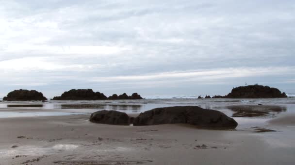 Modell Släppt Person Går Stranden Vid Lågvatten För Att Njuta — Stockvideo