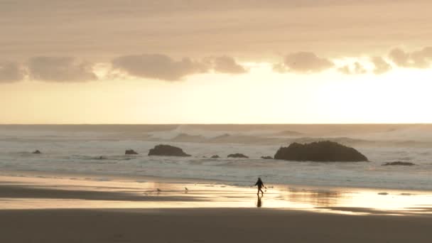 太陽が沈むとオレゴン海岸の水の端に沿って歩いている認識できない人 — ストック動画