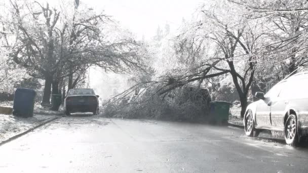 Winter Ice Storm Portland Oregon Causes Tree Damage Neighborhood Roads — Stock Video