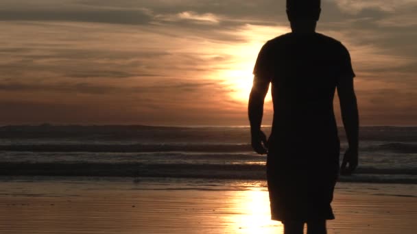 Modelo Liberado Hombre Sale Atardecer Costa Oregon Disfruta Una Noche — Vídeo de stock