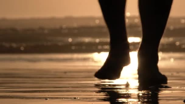 砂浜の低い角度日没時に裸足で水の端に歩いている人と — ストック動画