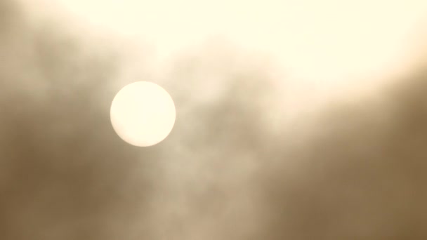 Hustý Kouř Zaplňuje Oblohu Sluncem Které Svítí Horkého Dne — Stock video