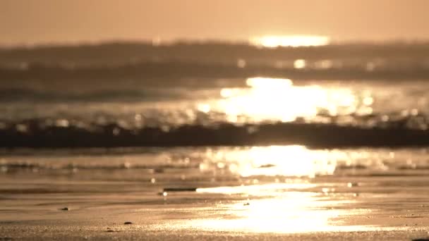 太平洋升起 潮水在夕阳西下 沙滩上的低角 — 图库视频影像