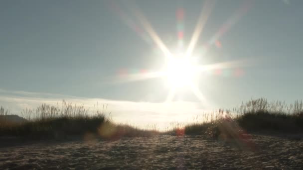 Bright Sun Shines Clear Day Oregon Coast Sand Dunes Beach — Stock Video