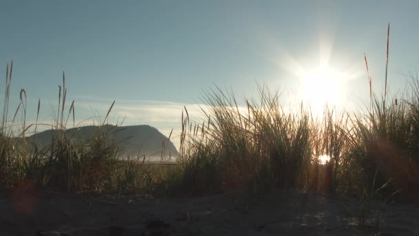 Utsikt Från Sanddynerna Vid Seaside Oregon Vacker Solig Dag — Stockvideo