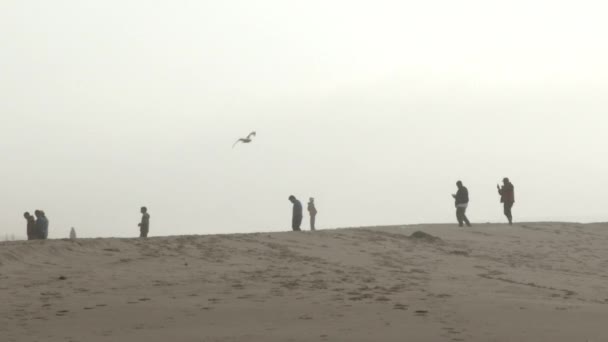 Des Gens Méconnaissables Marchent Long Crête Sablonneuse Encadrés Des Tiers — Video