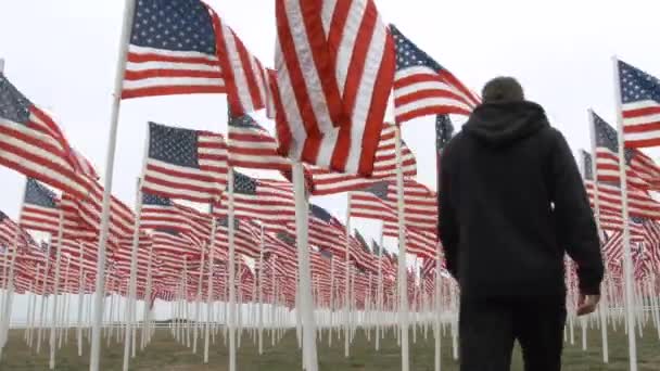 男は倒れた兵士のために風になびく多くの米国の旗の道を歩いて記念碑 — ストック動画