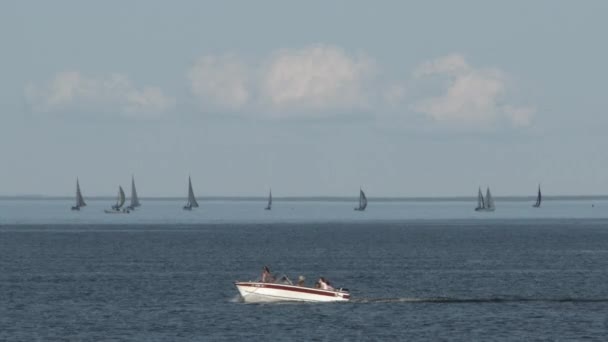 Famille Petit Bateau Moteur Profiter Une Chaude Journée Été Sur — Video