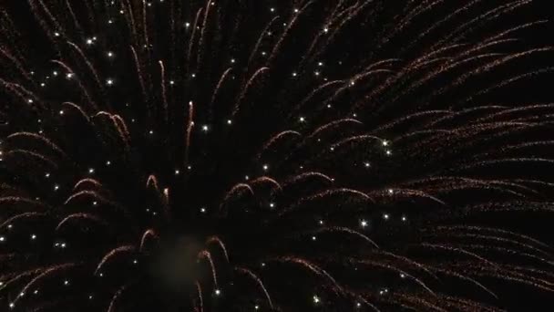 Close Firework Blasts Night — Stock Video