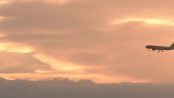 Compagnie Aérienne Commerciale Sans Esquisse Volant Travers Ciel Matin — Video