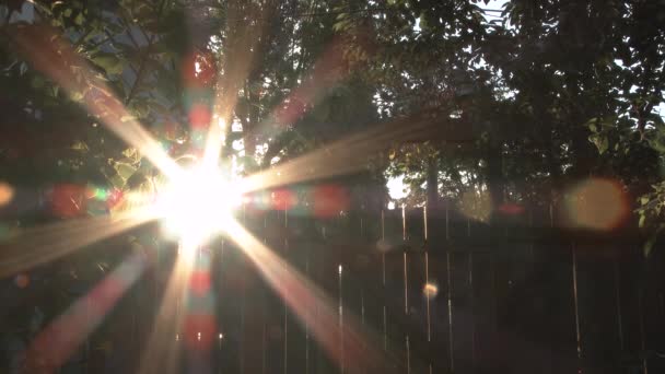 Zonnevlam Schijnt Helder Bij Zonsopgang Hek Achtertuin — Stockvideo