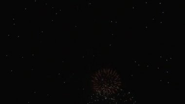 4 Temmuz gecesi havai fişek gösterisine kalabalık tepkileriyle büyük patlamalar.