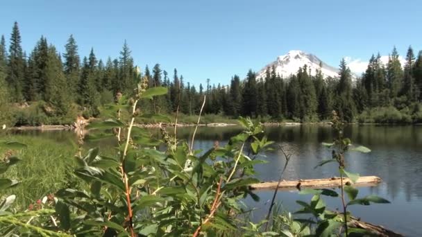 Camera Pan Mirror Lake Hood Oregon Beautiful Summer Day — Stock Video