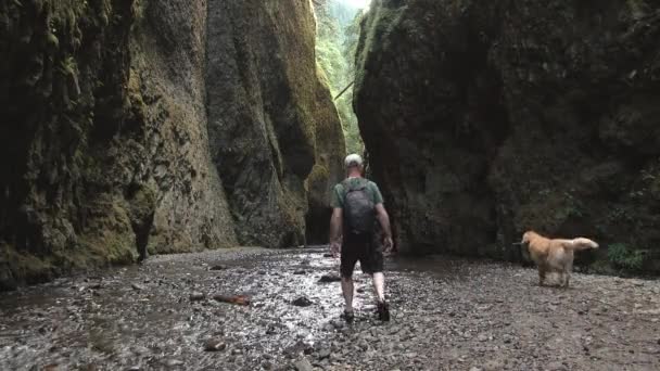 男と彼の犬はオレゴン州のオネタ渓谷の小川のベッドを歩く — ストック動画