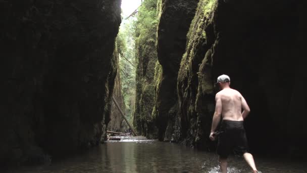 オレゴン州太平洋岸北西部の美しいオネンタ渓谷を犬と歩く男 — ストック動画