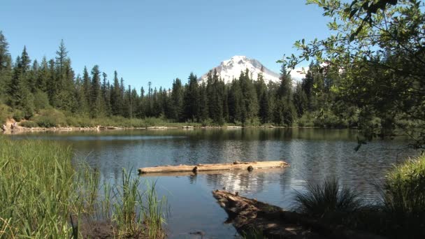 Lugn Bris Blåser Över Spegelsjön Vid Hood Oregon Vacker Sommardag — Stockvideo