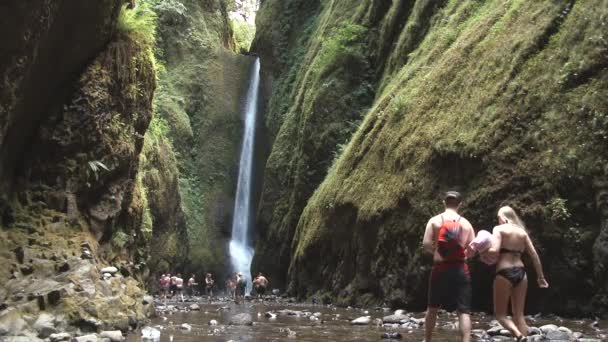 オレゴン州ワンタ渓谷の下流にある美しい滝に若いカップルが到着します — ストック動画