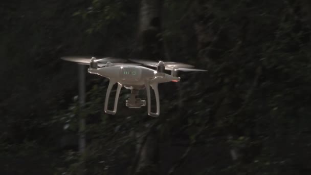 Μέτριο Μέγεθος Drone Που Φέρουν Μέσα Από Δάσος — Αρχείο Βίντεο