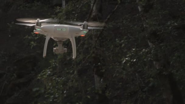 Nsansız Hava Aracı Ormanda Sağa Sola Uçuyor — Stok video