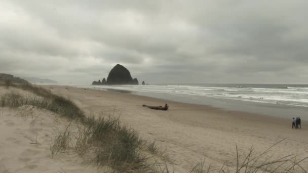 Drei Menschen Flüchten Richtung Haystack Rock Cannon Beach Der Küste — Stockvideo