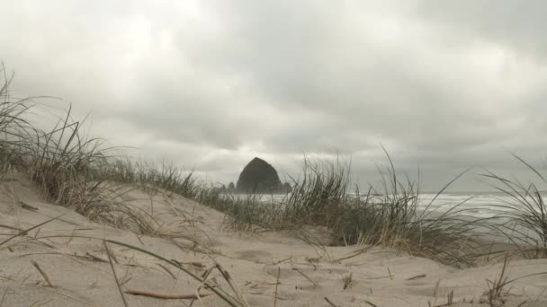 Wide Angle Beach Grass Blows Sand Dunes Typical Overcast Day — Stock Video
