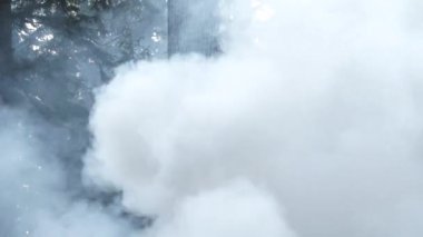 Yangının yakınındaki orman ağaçlarından yoğun duman çıkıyor..