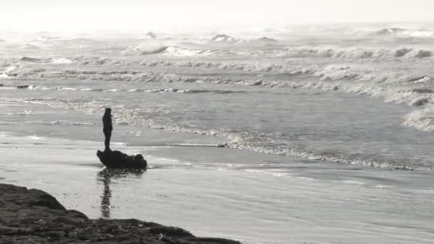 Donna Irriconoscibile Piedi Sul Legno Alla Deriva Guardando Mare Tempestoso — Video Stock