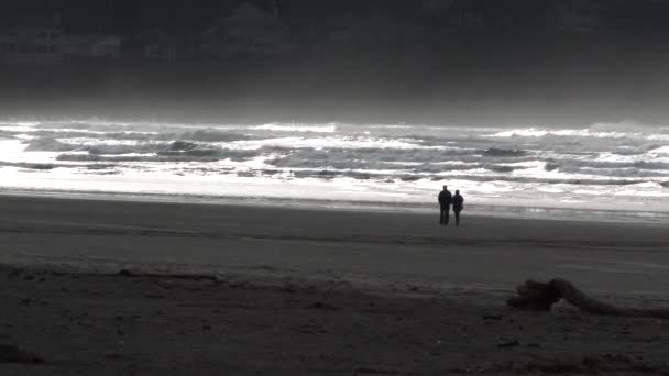 Homem Silhueta Mulher Casal Andando Praia Areia Oregon Com Ondas — Vídeo de Stock