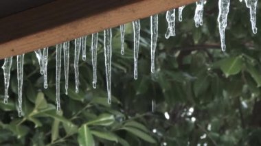 Portland, Oregon 'da buz fırtınasından sonra sıcaklıklar ısınmaya başladığında buz saçaklarından su damlıyor..
