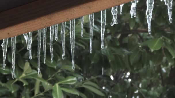 Agua Gotea Los Carámbanos Medida Que Las Temperaturas Comienzan Calentarse — Vídeos de Stock