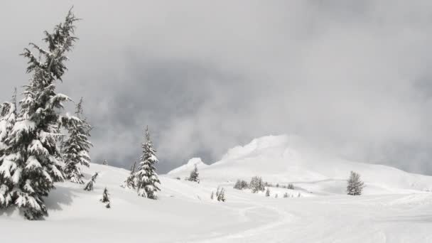 オレゴン州での新雪 時間の経過後にピークを越えて移動する気象システムとティンバーラインのフード山の神秘的な日 — ストック動画