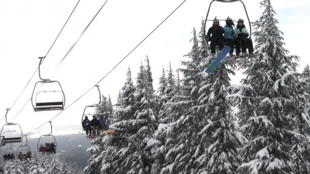 Folk Åker Skidlift Hood Timberline Oregon — Stockvideo