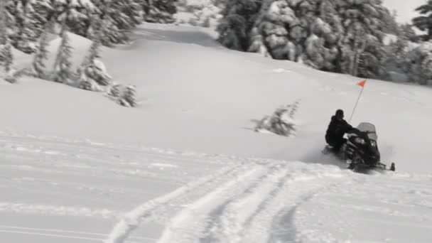 Dos Personas Montando Motos Nieve Través Nieve Fresca Hood Oregon — Vídeos de Stock