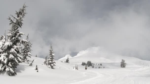 新雪の後 オレゴン州のフッド山上部では2人がスキーをしていました — ストック動画