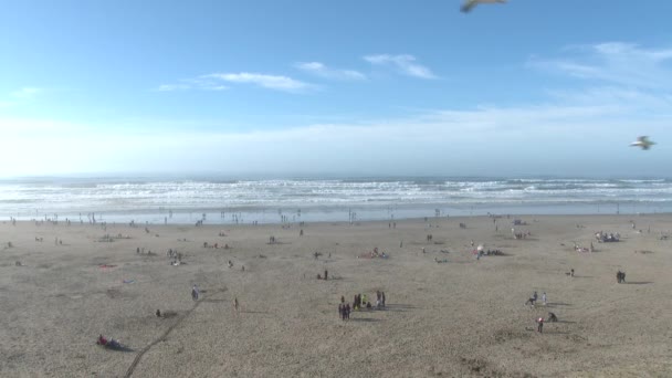 Muchas Personas Disfrutan Día Soleado Playa Seaside Oregon Con Gaviotas — Vídeo de stock