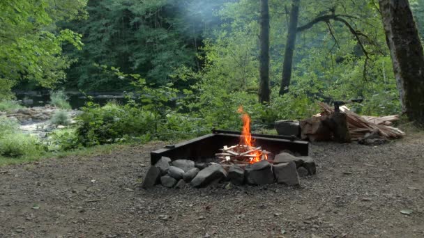 Campfire Che Inizia Nella Fossa Dei Pompieri Nel Campeggio Nel — Video Stock