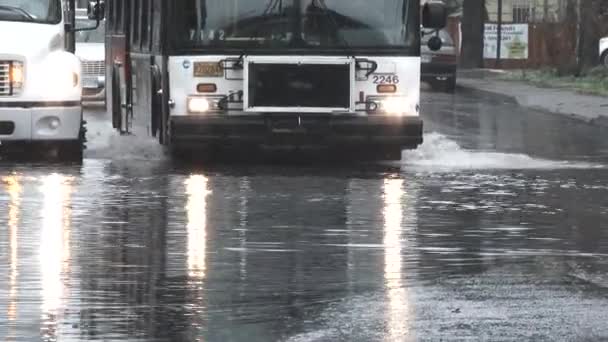 Kraftigt Regn Översvämmar Gatorna Portland Oregon Med Stadsbuss Som Kör — Stockvideo