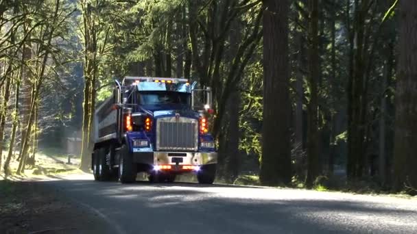 オレゴン州太平洋岸北西部の森林道路を走るダンプトラック — ストック動画