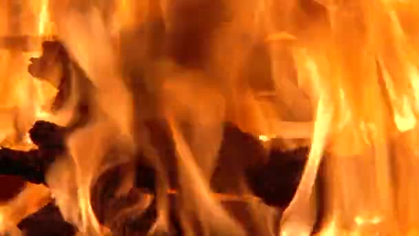 Κοντινό Πλάνο Μεγάλης Καύσης Φωτιάς Που Αιχμαλωτίστηκε — Αρχείο Βίντεο