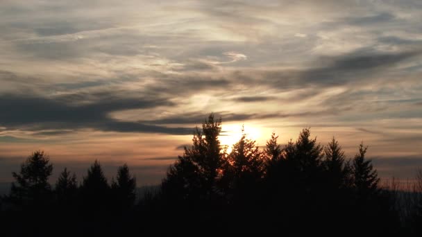 オレゴン州ポートランドの森の木々の後ろに太陽が沈むカラフルな夕日の雲の時間経過 — ストック動画