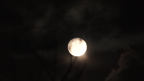 Volle Gloeiende Maan Schijnt Aan Nachtelijke Hemel Als Wolken Voorbij — Stockvideo