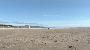 Oregon sahilindeki kumlu plajda mutlu sarı labrador topu..