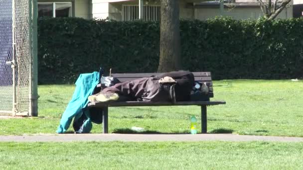 Kamera Přiblížit Bezdomovce Spící Lavičce Městského Parku Během Dne — Stock video
